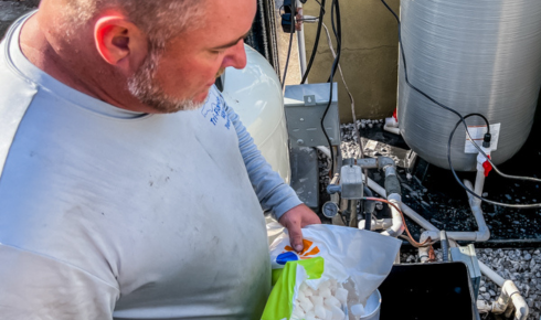 strong warranties