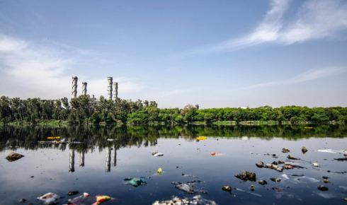 water quality