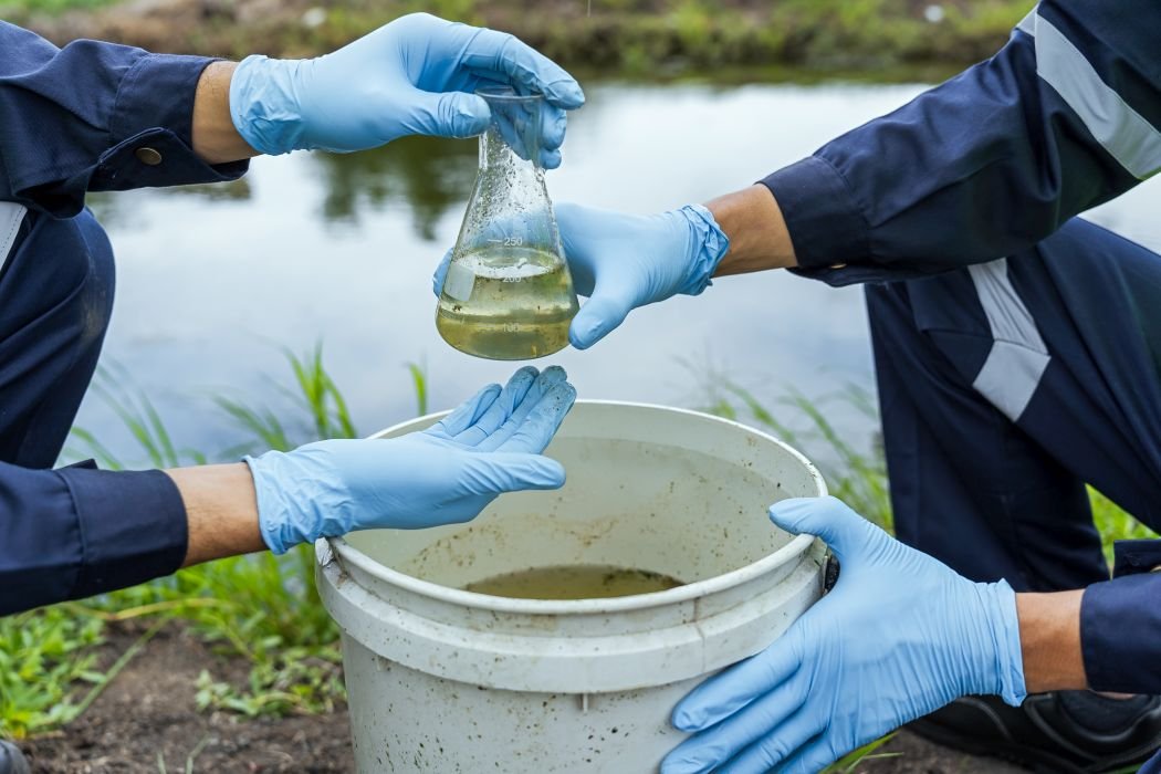 chlorine & sediment issues